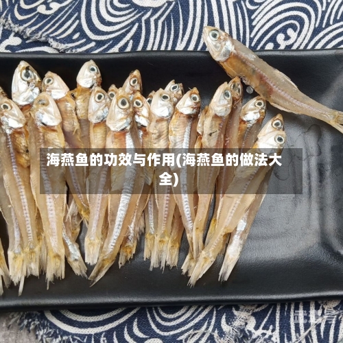 海燕鱼的功效与作用(海燕鱼的做法大全)