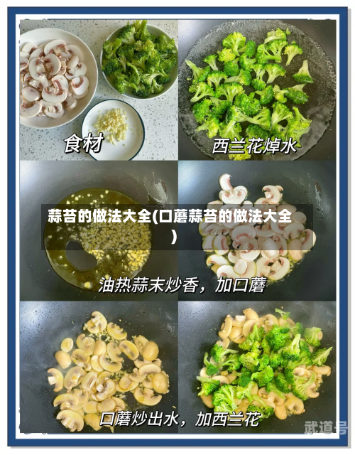 蒜苔的做法大全(口蘑蒜苔的做法大全)