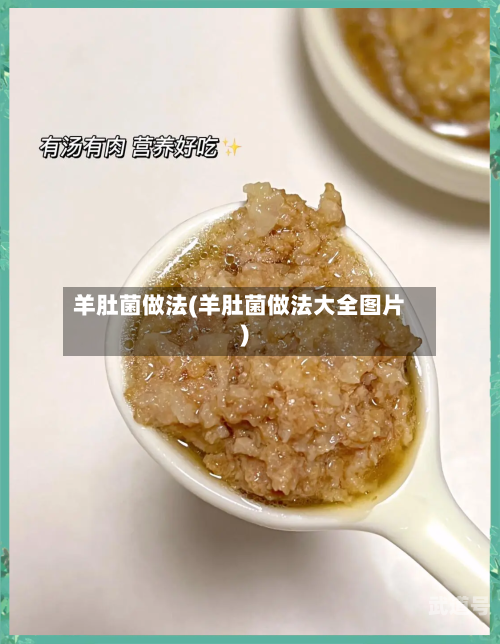 羊肚菌做法(羊肚菌做法大全图片)