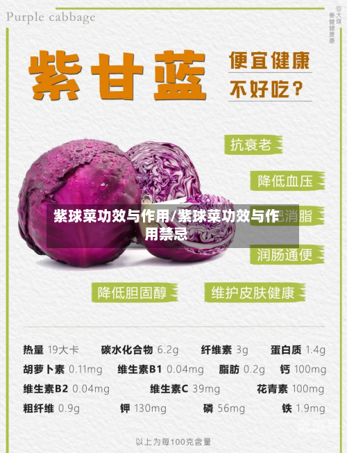 紫球菜功效与作用/紫球菜功效与作用禁忌