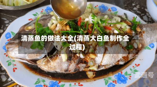 清蒸鱼的做法大全(清蒸大白鱼制作全过程)