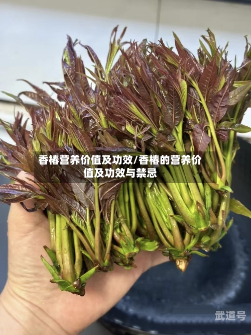 香椿营养价值及功效/香椿的营养价值及功效与禁忌