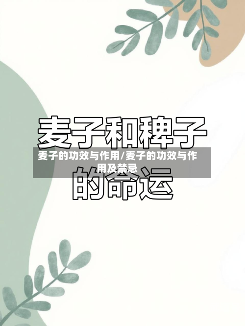 麦子的功效与作用/麦子的功效与作用及禁忌