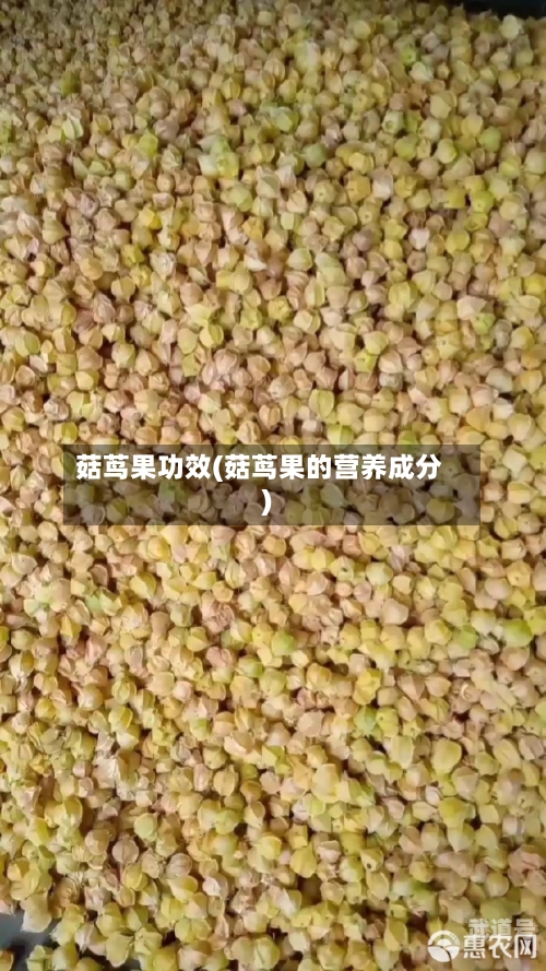 菇茑果功效(菇茑果的营养成分)