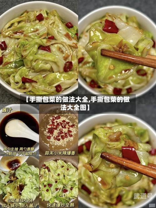 【手撕包菜的做法大全,手撕包菜的做法大全图】