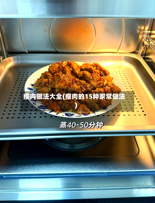 瘦肉做法大全(瘦肉的15种家常做法)