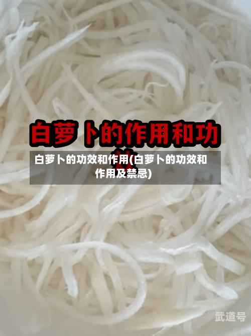 白萝卜的功效和作用(白萝卜的功效和作用及禁忌)