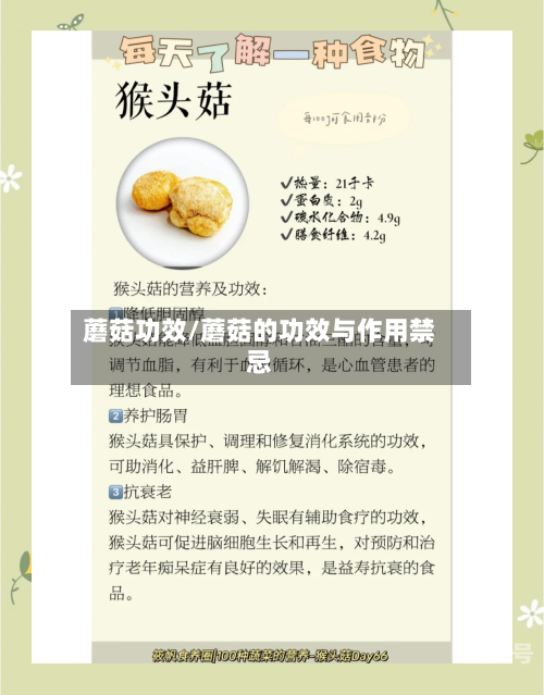 蘑菇功效/蘑菇的功效与作用禁忌
