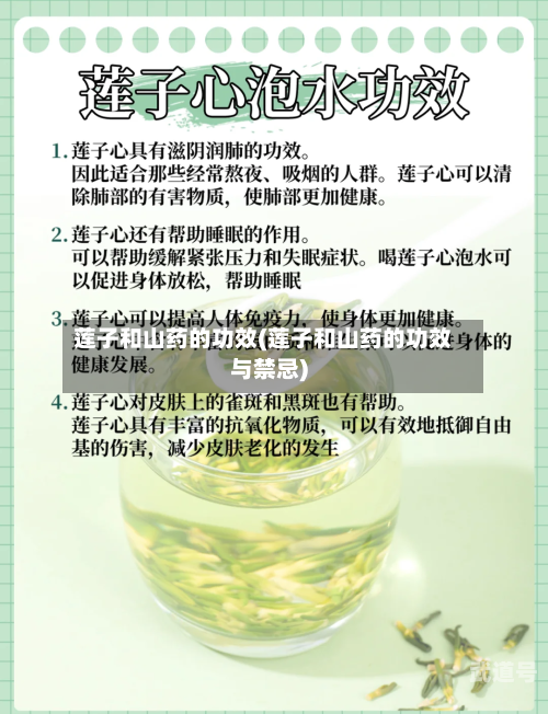 莲子和山药的功效(莲子和山药的功效与禁忌)