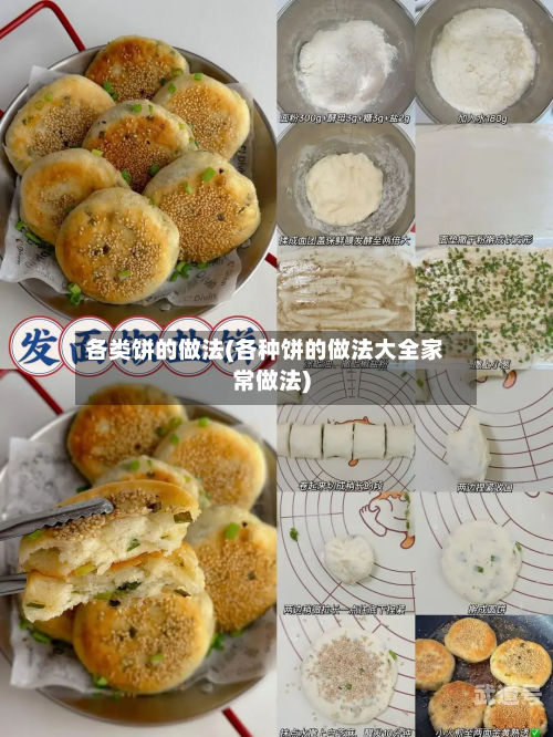 各类饼的做法(各种饼的做法大全家常做法)