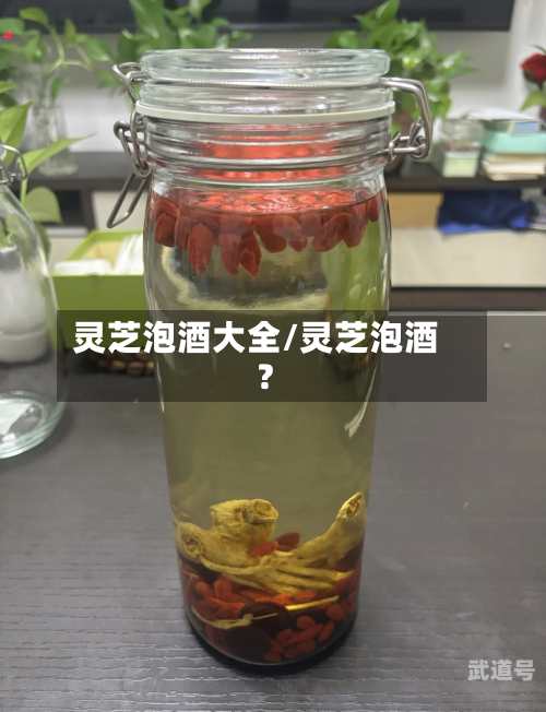 灵芝泡酒大全/灵芝泡酒?