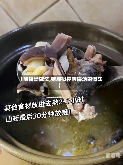 【酸梅汤做法,猪肺橄榄酸梅汤的做法】