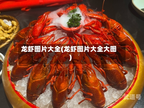 龙虾图片大全(龙虾图片大全大图)