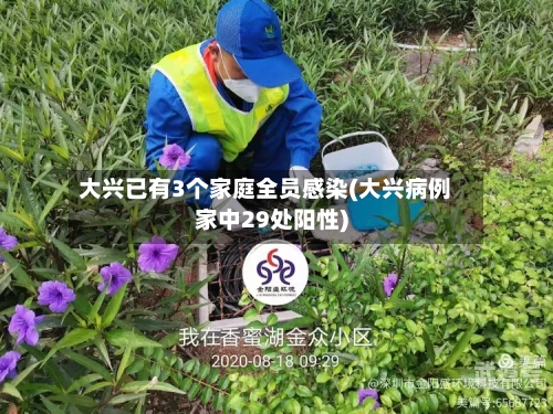 大兴已有3个家庭全员感染(大兴病例家中29处阳性)