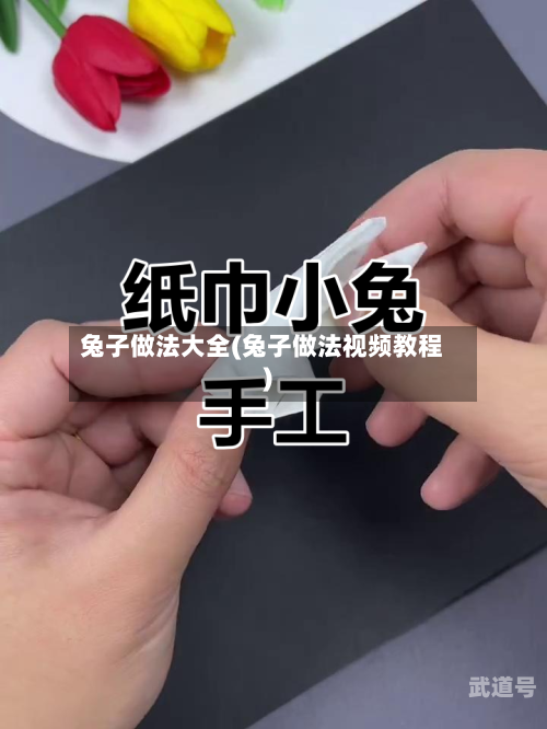 兔子做法大全(兔子做法视频教程)
