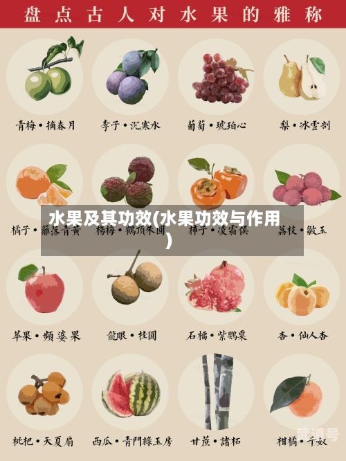 水果及其功效(水果功效与作用)