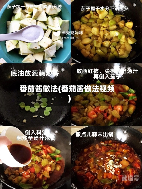 番茄酱做法(番茄酱做法视频)