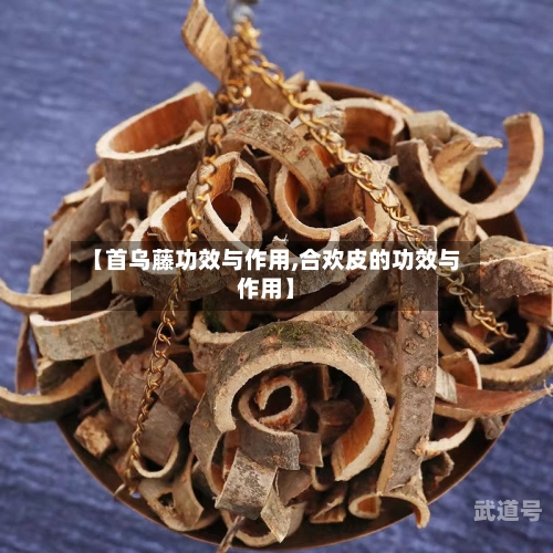 【首乌藤功效与作用,合欢皮的功效与作用】