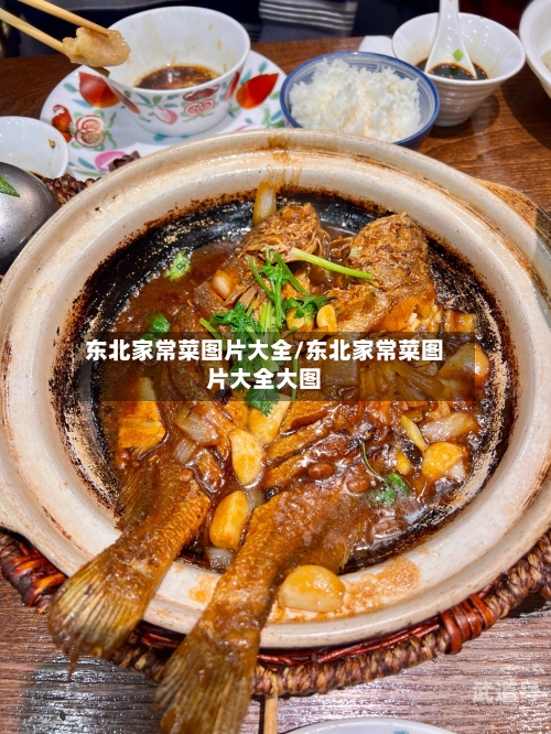 东北家常菜图片大全/东北家常菜图片大全大图