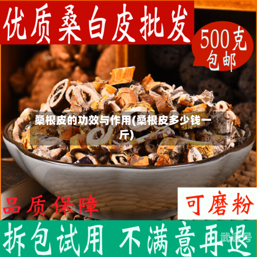桑根皮的功效与作用(桑根皮多少钱一斤)
