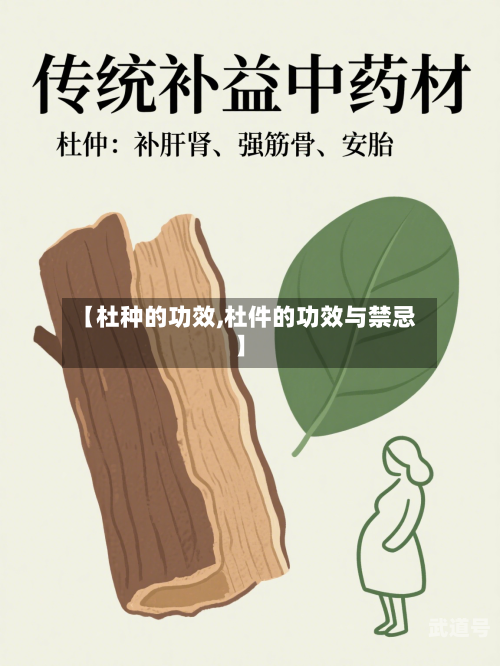 【杜种的功效,杜件的功效与禁忌】