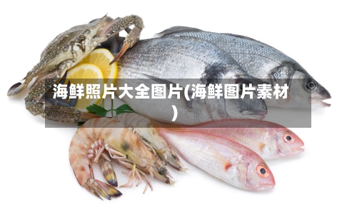 海鲜照片大全图片(海鲜图片素材)