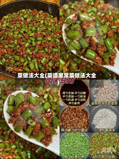 菜做法大全(菜谱家常菜做法大全)