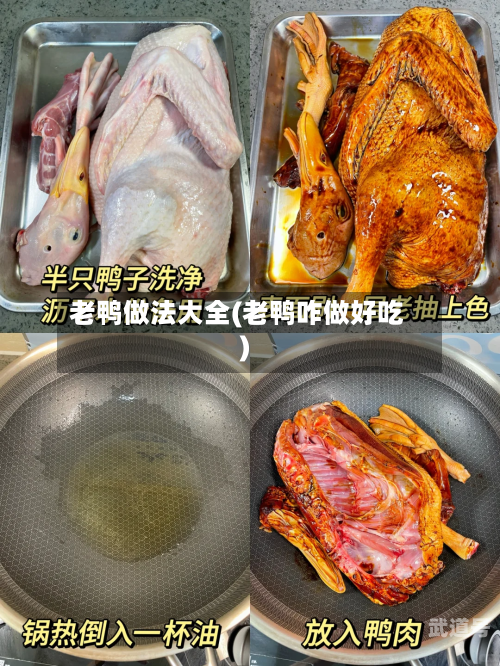 老鸭做法大全(老鸭咋做好吃)