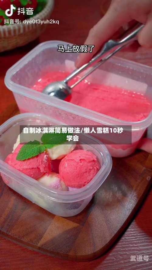 自制冰淇淋简易做法/懒人雪糕10秒学会