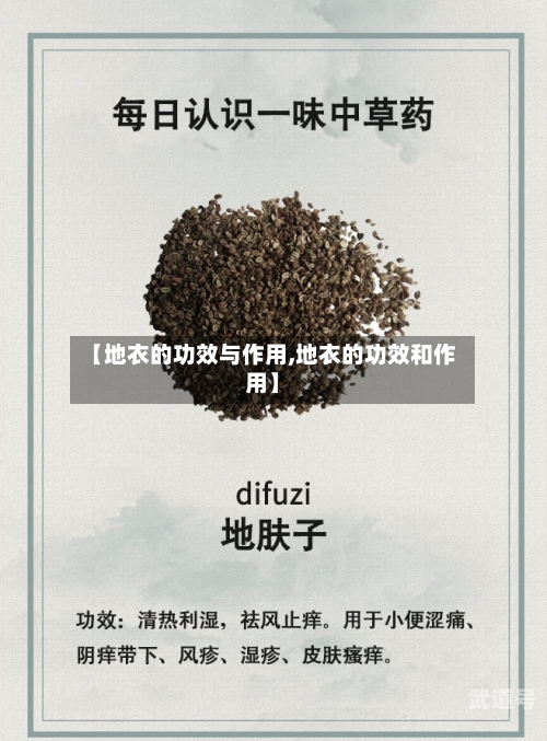 【地衣的功效与作用,地衣的功效和作用】