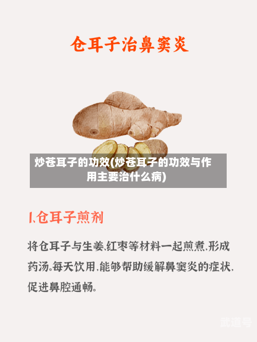 炒苍耳子的功效(炒苍耳子的功效与作用主要治什么病)