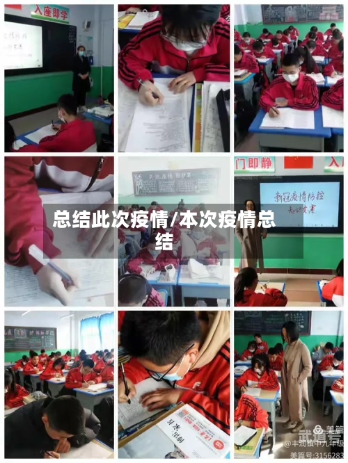 总结此次疫情/本次疫情总结