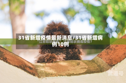 31省新增疫情最新消息/31省新增病例10例