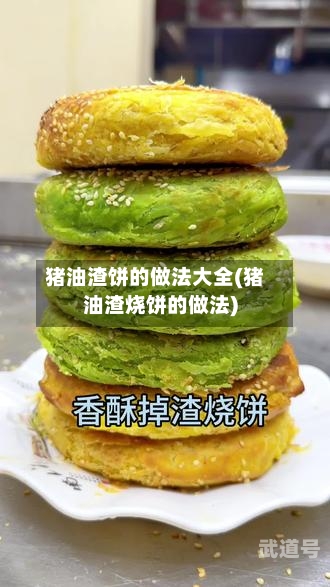 猪油渣饼的做法大全(猪油渣烧饼的做法)