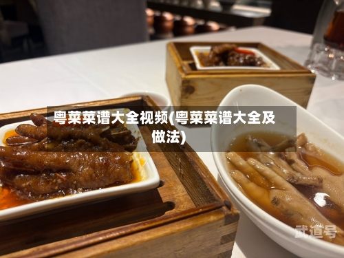 粤菜菜谱大全视频(粤菜菜谱大全及做法)