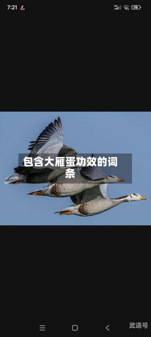 包含大雁蛋功效的词条