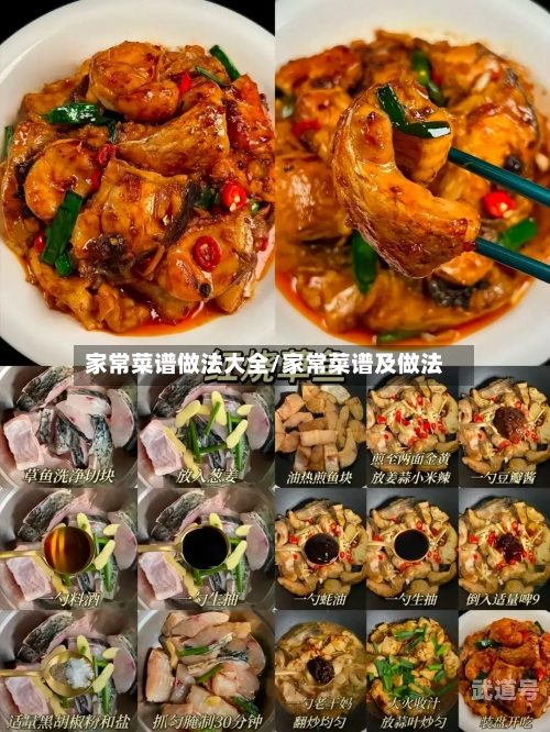 家常菜谱做法大全/家常菜谱及做法