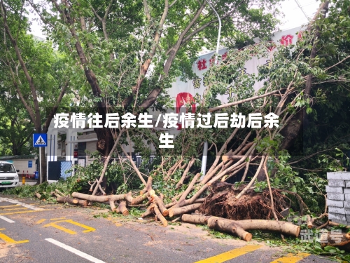 疫情往后余生/疫情过后劫后余生
