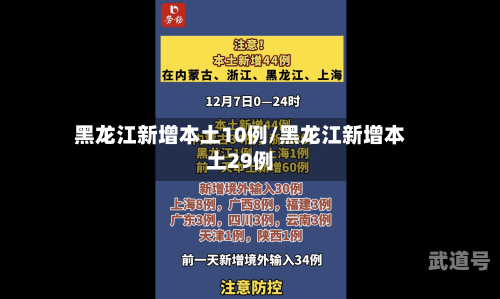 黑龙江新增本土10例/黑龙江新增本土29例