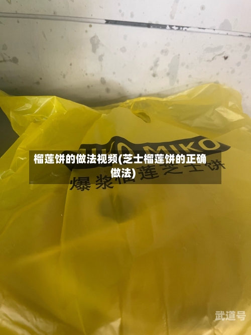 榴莲饼的做法视频(芝士榴莲饼的正确做法)