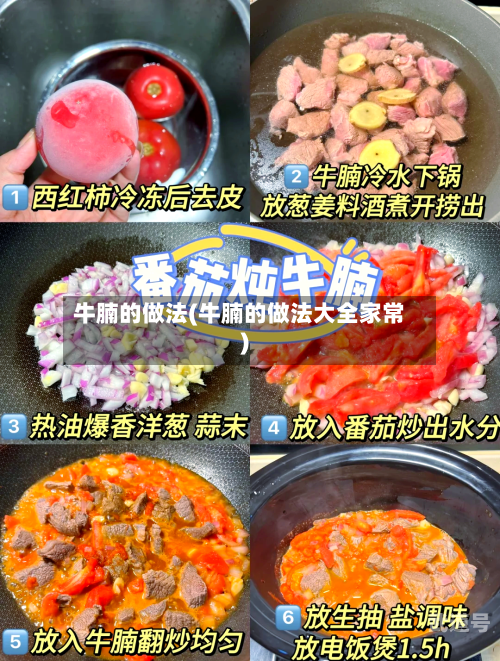 牛腩的做法(牛腩的做法大全家常)