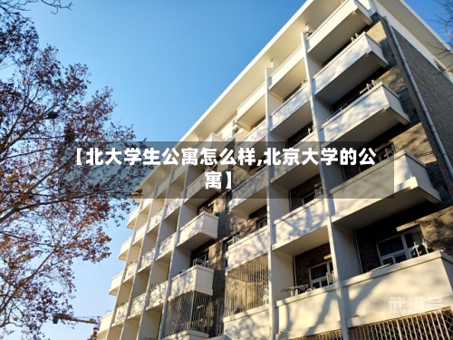 【北大学生公寓怎么样,北京大学的公寓】