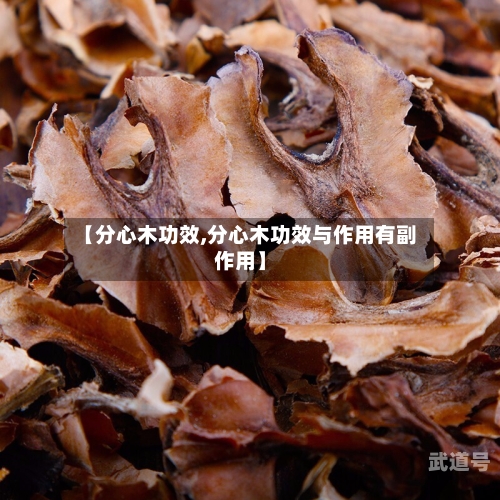 【分心木功效,分心木功效与作用有副作用】