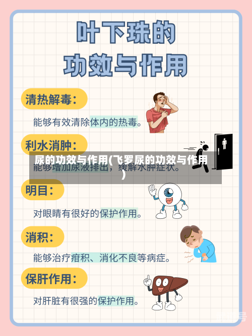 尿的功效与作用(飞罗尿的功效与作用)