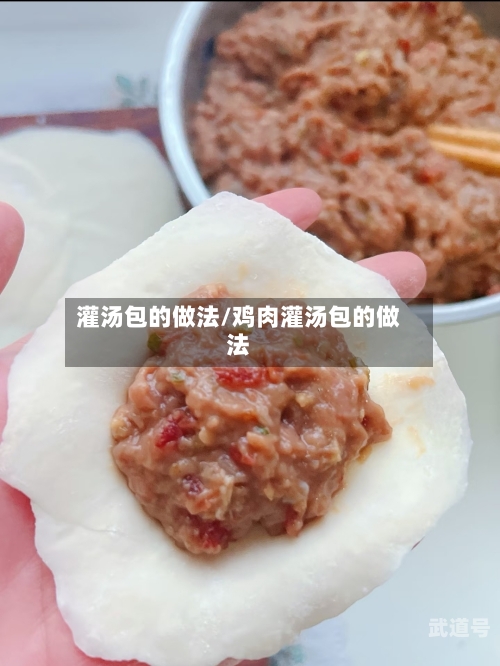 灌汤包的做法/鸡肉灌汤包的做法
