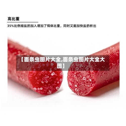 【面条虫图片大全,面条虫图片大全大图】
