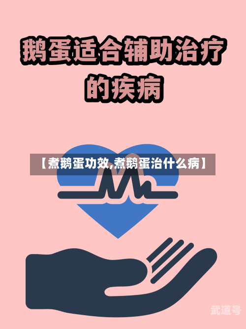 【煮鹅蛋功效,煮鹅蛋治什么病】