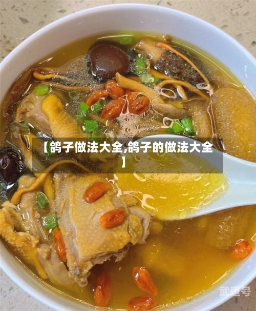 【鸽子做法大全,鸽子的做法大全】