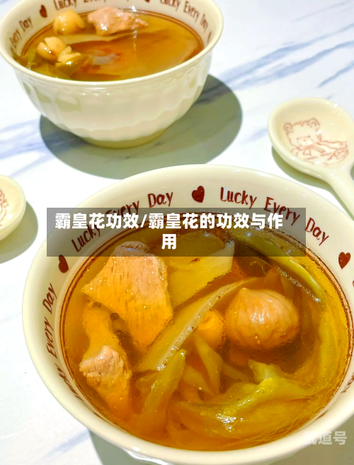 霸皇花功效/霸皇花的功效与作用