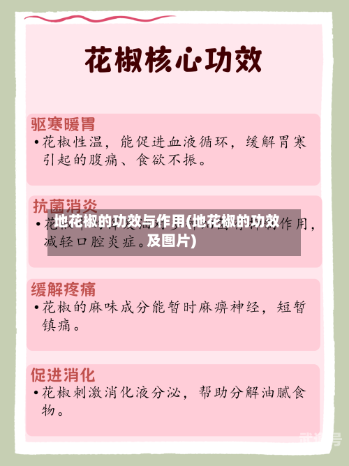 地花椒的功效与作用(地花椒的功效及图片)